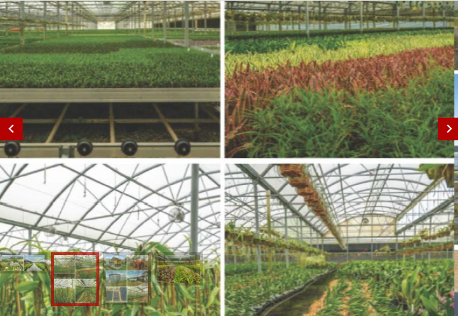 Commercial Property for Sale in Homestead Florida 33031